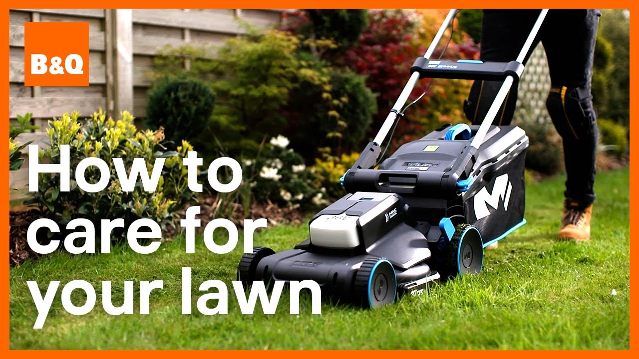 How to care for your lawn | DIY