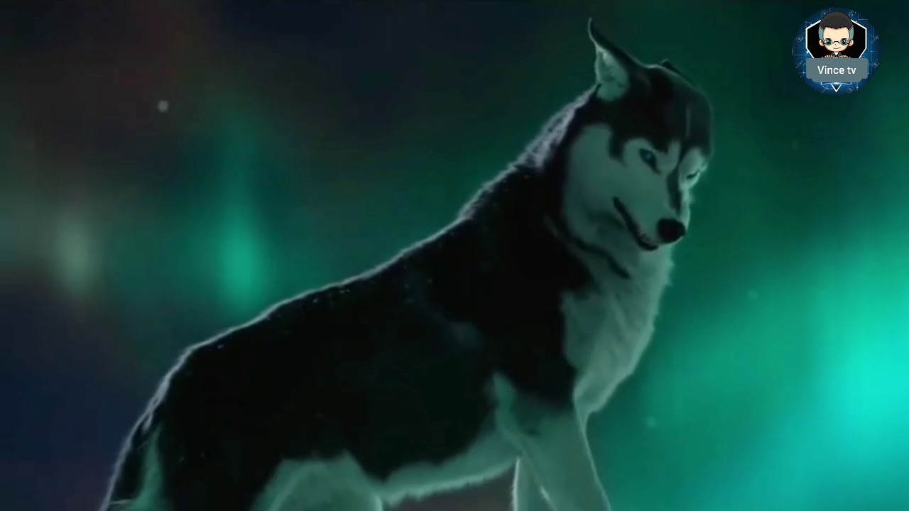 Inspirational videos. (  A true  leader always  worries  about his comrades more than  itself.