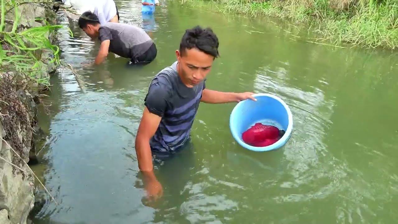 🎁 Pearlkeepers’ War: Girl’s Clam Discovery Sparks Conflict Between Worlds Over Shimmering Treasures