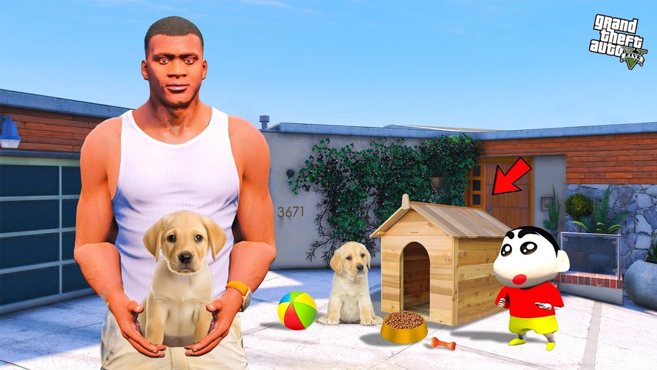 Shinchan & Franklin Found New Puppy in Gta 5