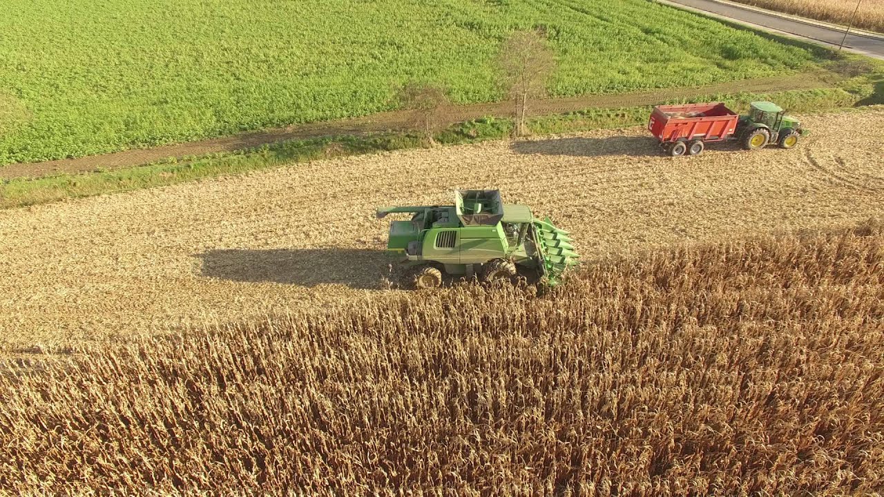 mais dorsen drone