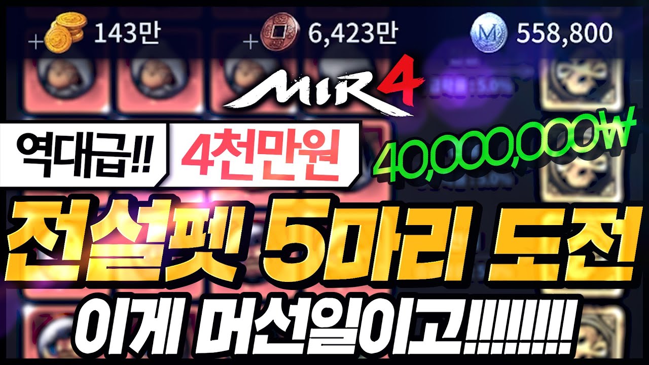[난닝구] 미르4 역대급🔥4천만원 전설펫 5마리 도전🔥이게 머선일이고!!!!!! | 모바일게임 MIR4 리니지 바람의나라 세븐나이츠2 传奇