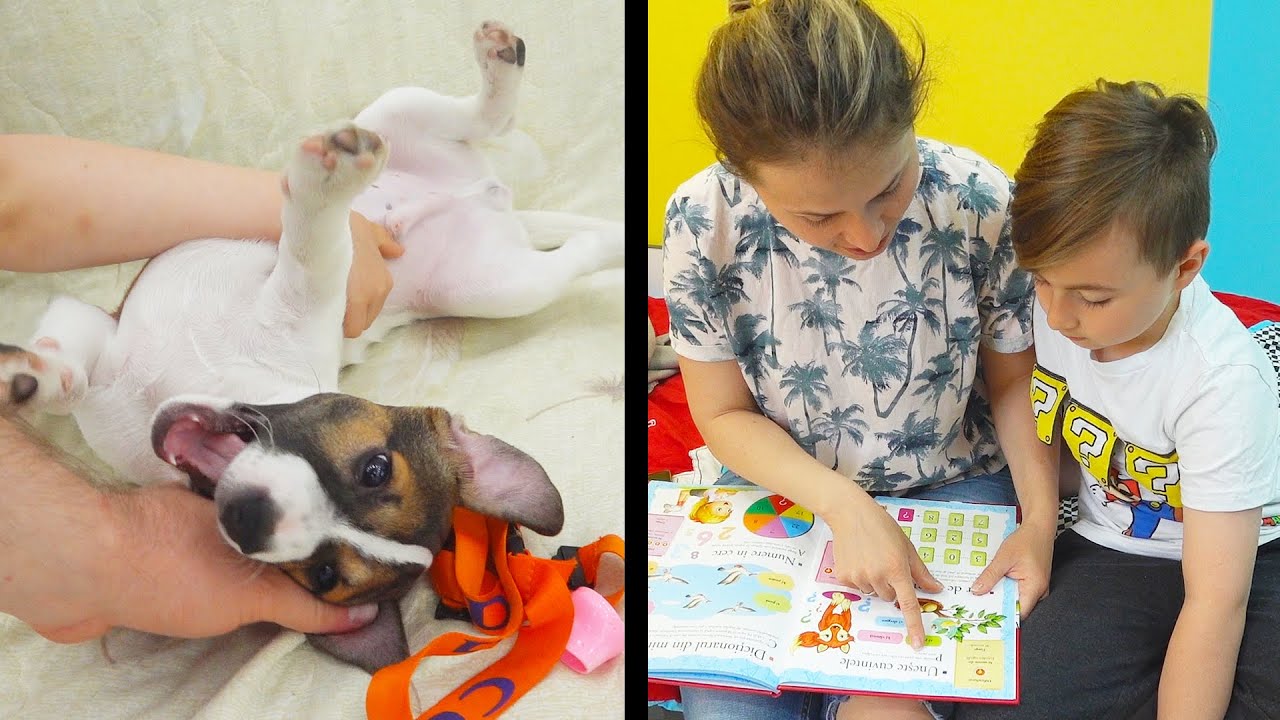 Rutina de Dimineata lui Kosmos si a noastra