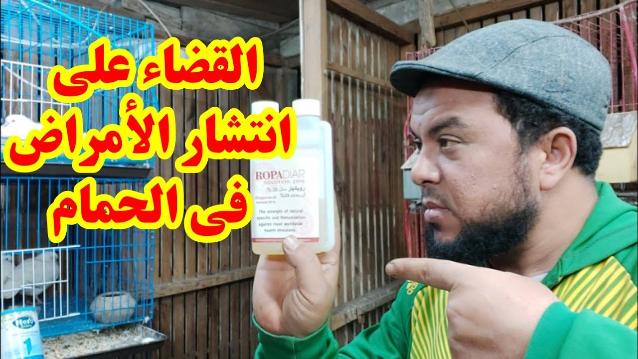 أقوي رافع مناعه ومضاد فيروسات بجد فرق مع الحمام جدا جدا