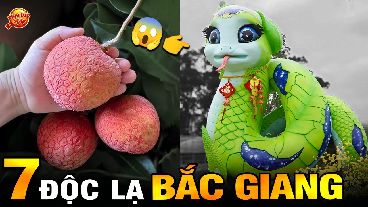 🔥 7 Bí Ẩn Ly Kỳ Và Thú Vị Về Bắc Giang Mà Chưa Ai Nói Đầy Đủ Cho Bạn Biết | Kính Lúp TV
