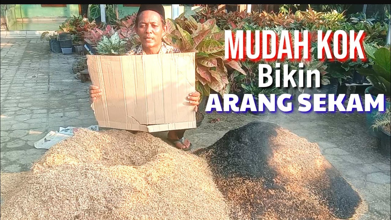 RAHASIA CARA MEMBUAT SEKAM BAKAR TIDAK JADI ABU ‼️MEDIA TANAM AGLONEMA@SIGIT FLORIST