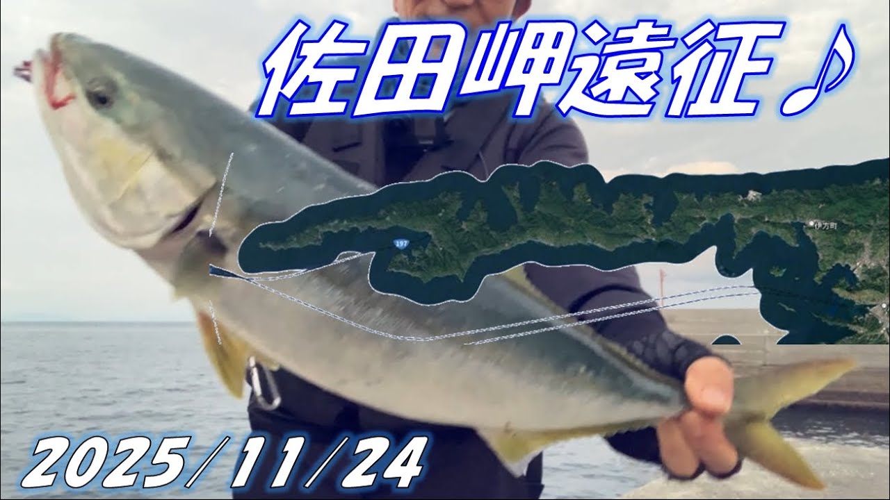 佐田岬遠征♪
