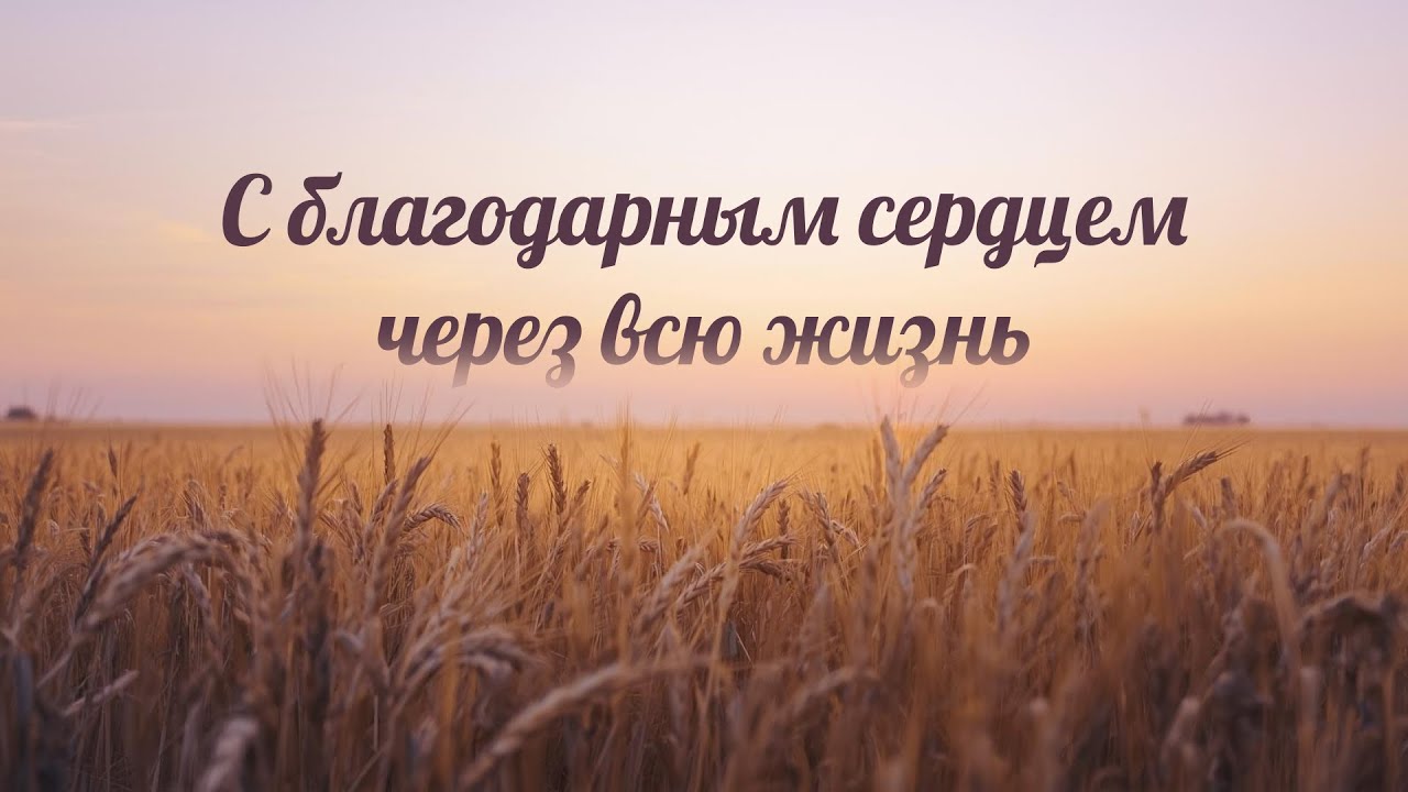 С благодарным сердцем через всю жизнь • Праздник жатвы