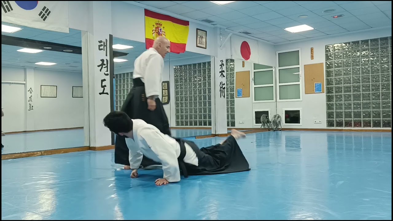 Aikido Sevilleja. Semana del 15 al 19 de Enero de 2024. Yokomen Uchi.