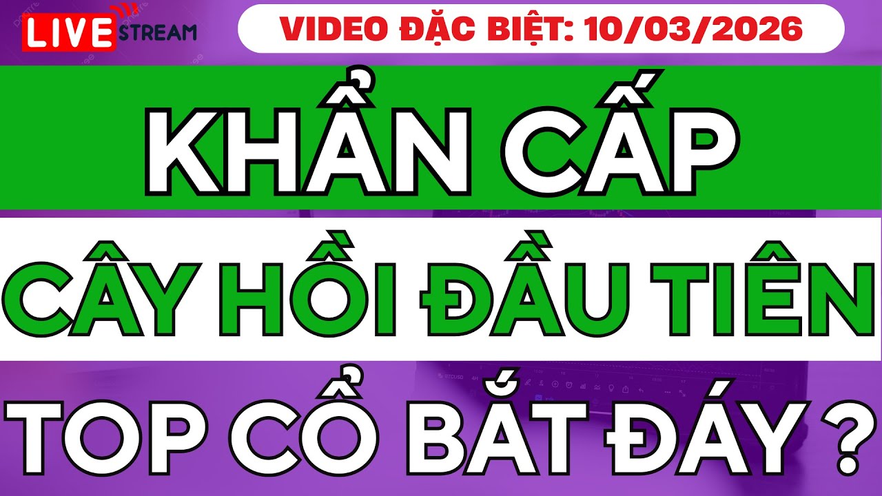 🔥 KHẨN CẤP: CÂY HỒI ĐẦU TIÊN XUẤT HIỆN – TOP CỔ PHIẾU CANH BẮT ĐÁY PHIÊN CHIỀU NAY?