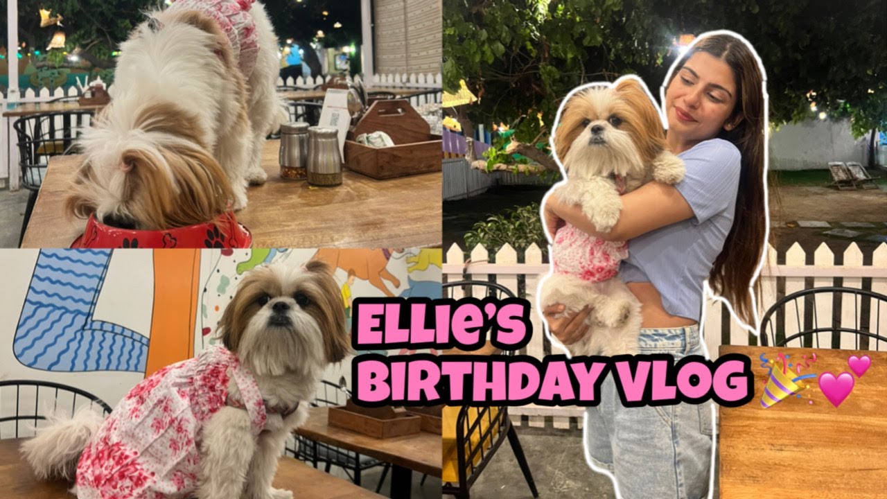 VLOG: Ellie's Second Birthday Vlog | Going To a Dog Cafe | Yashita Rai