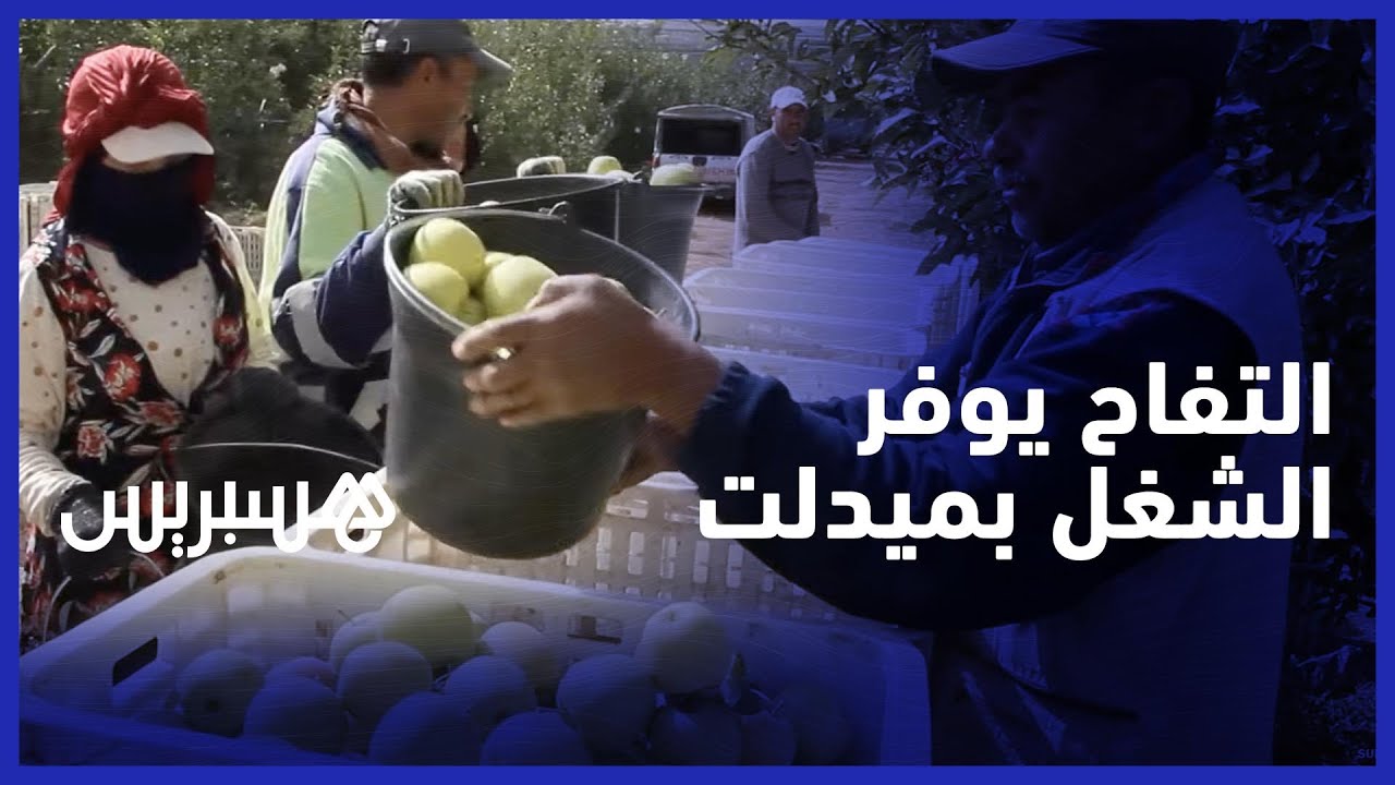 ضيعات التفاح تدعم التشغيل في إقليم ميدلت