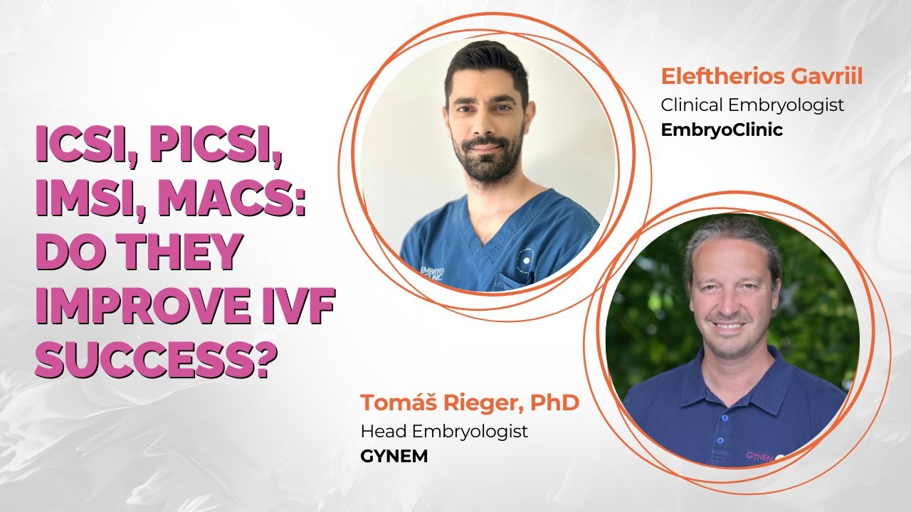 ICSI, IMSI, PICSI, FertileChip/ZyMote, MACS: Do These Techniques Really Improve IVF Success?