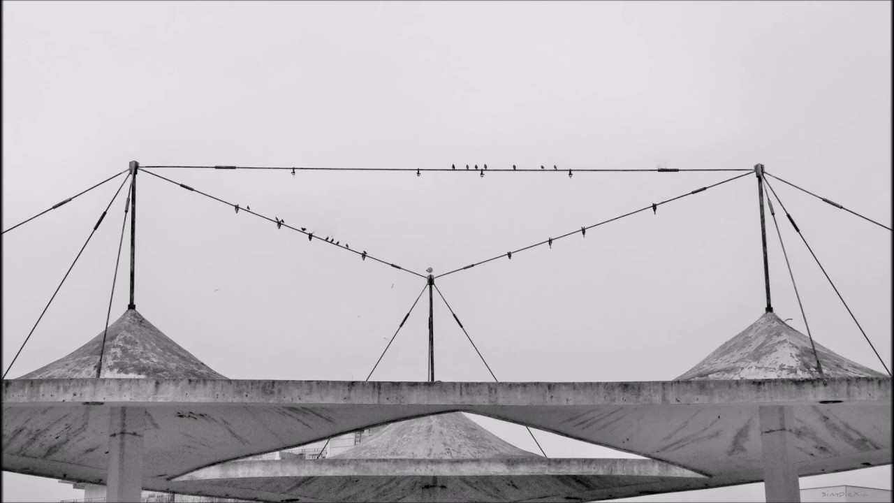 AggressivePassive ·2· DarkElectronics/Industrial/Ambient (Session) by Simplexia