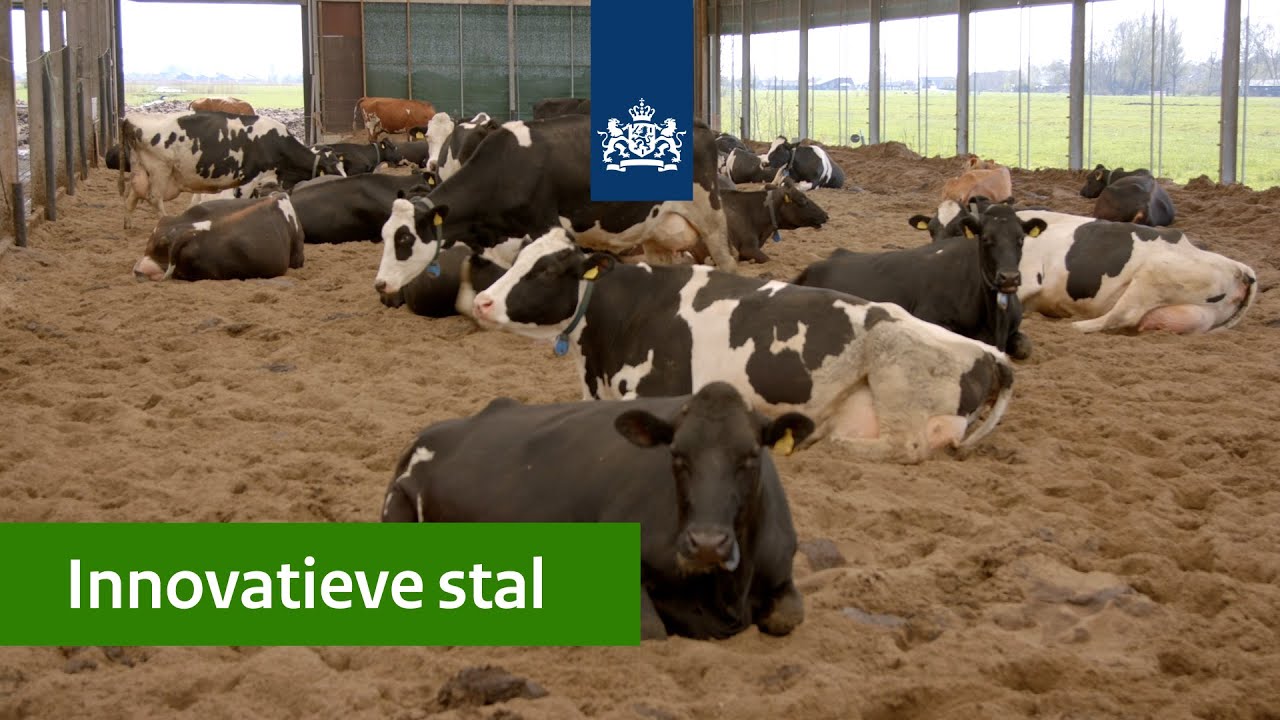 Innovatie | VrijLevenStal