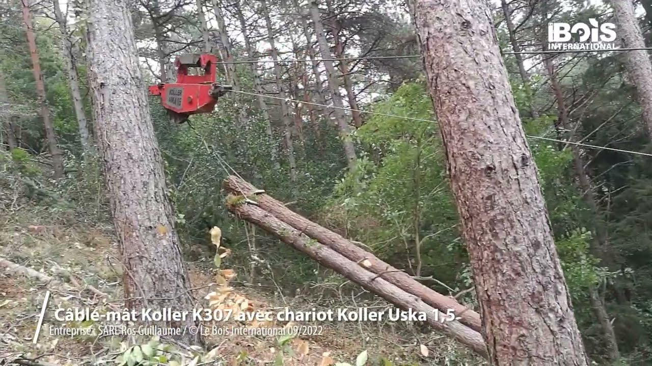 Un câble-mât sur châssis routier Koller K307 vidange une éclaircie de moyenne montagne