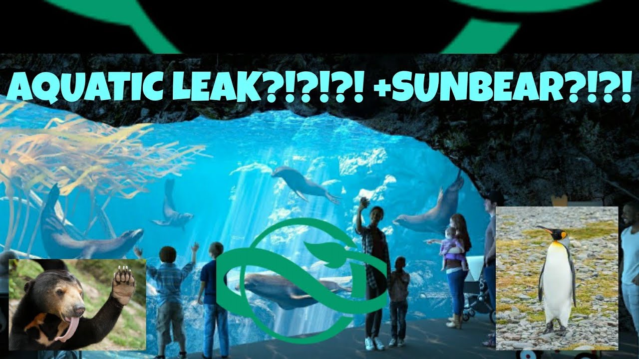 PLANET ZOO NEWS LEAKED ANIMALS!!!!  (AQUATIC PACK INCOMING)