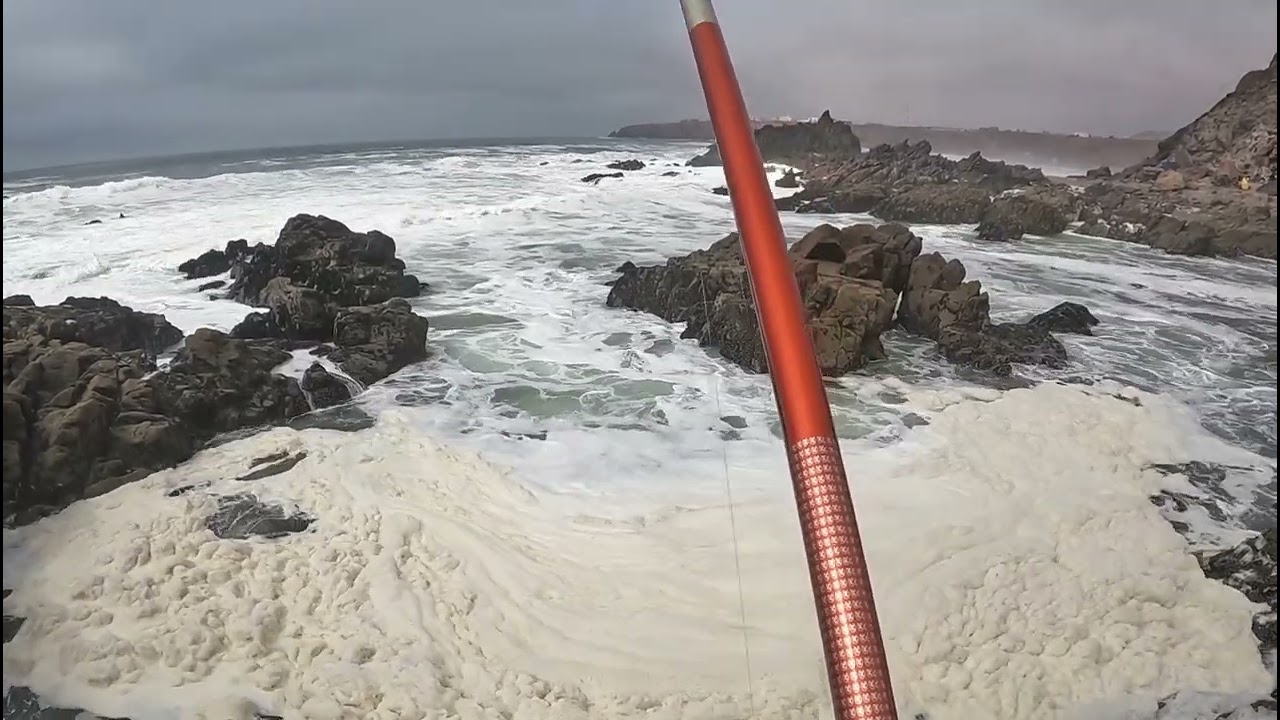 صيد الشرغو بالبيلوطة بميرلفت سيدي افني