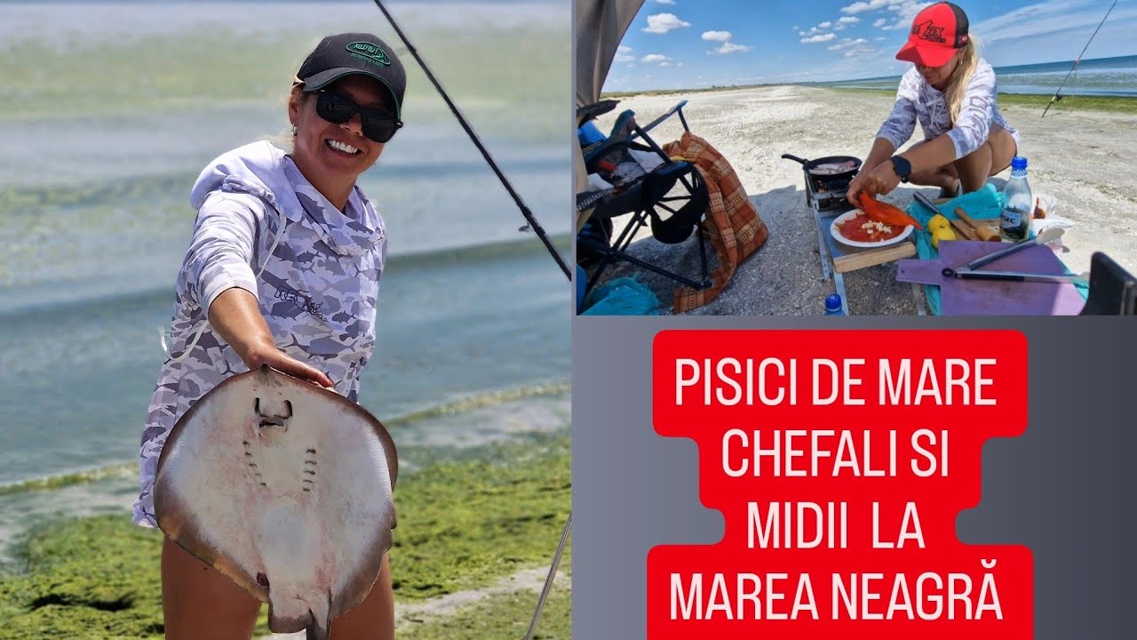 Pescuit  Gătit  pe Plajă Pisică de Marea Neagră Chefali si Suprize 