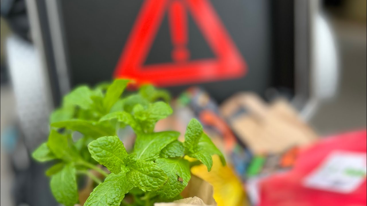 رحلة اوروبا ٢٠٢٤ - بولاندا ، تخييم وطبخ 🏕️