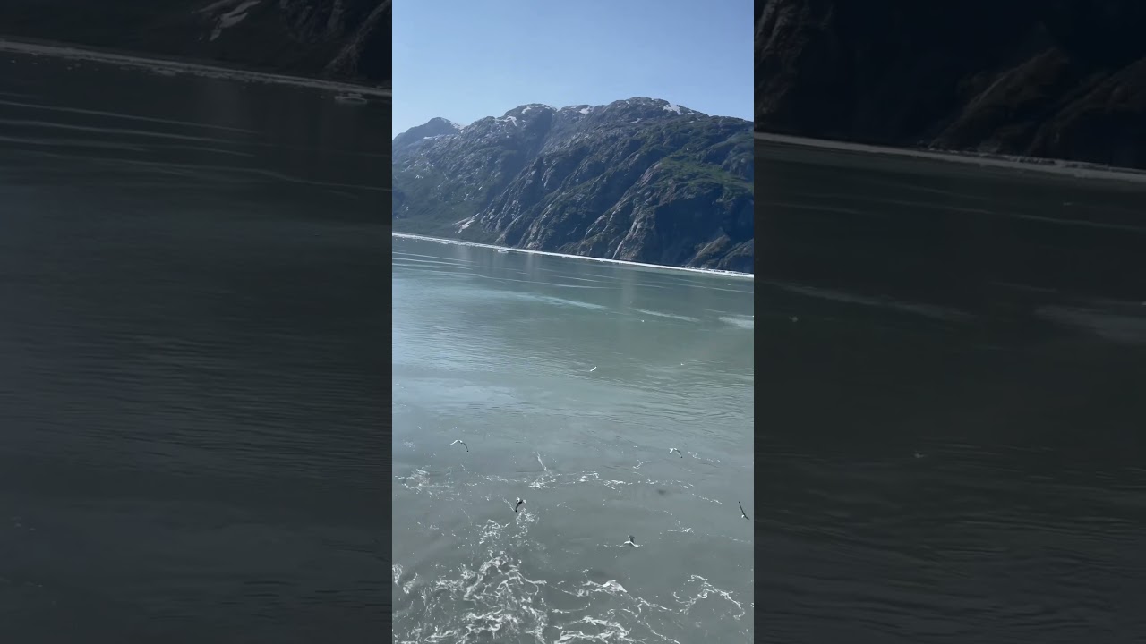Koningsdam&rsquo;s massive engines in neutral at Glacier Bay #cruise #cruiseship #shorts