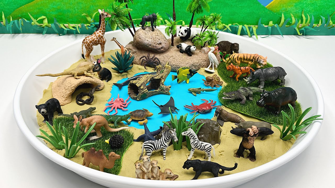 2 Diorama With Animals Dinosaurs | safari Jurassic World Small World In white tray