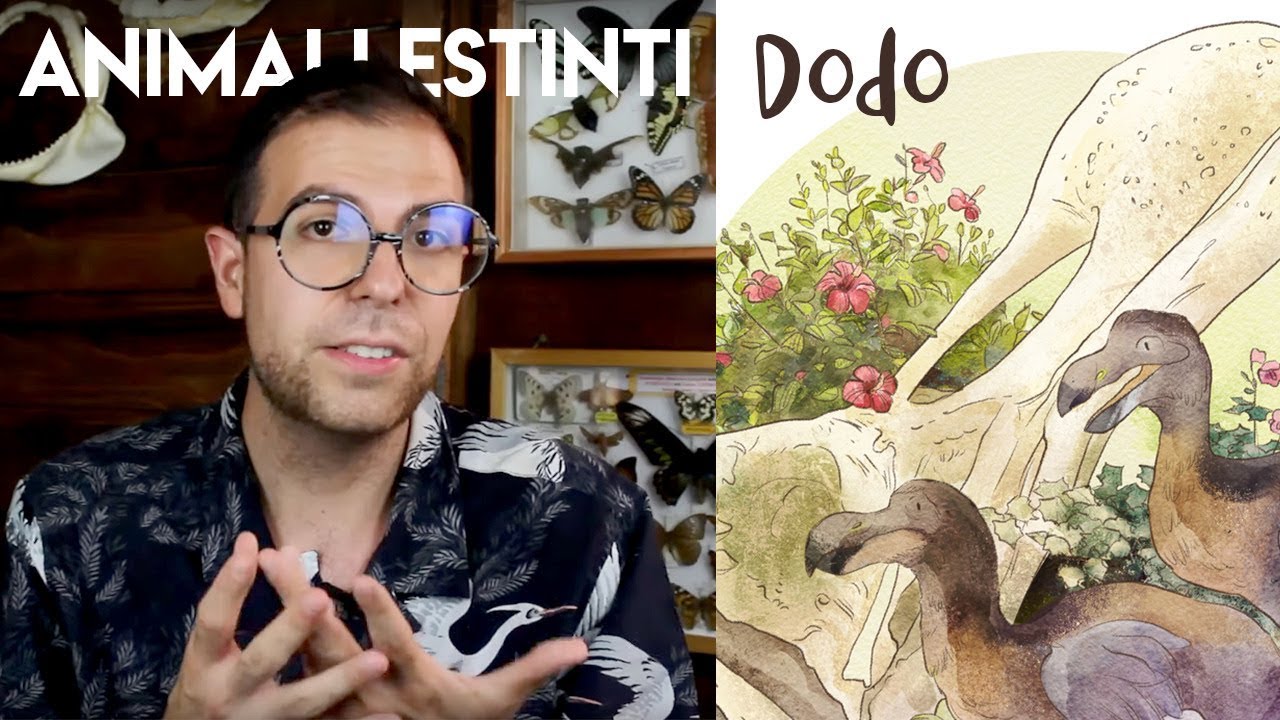 Che Fine ha fatto il Dodo?