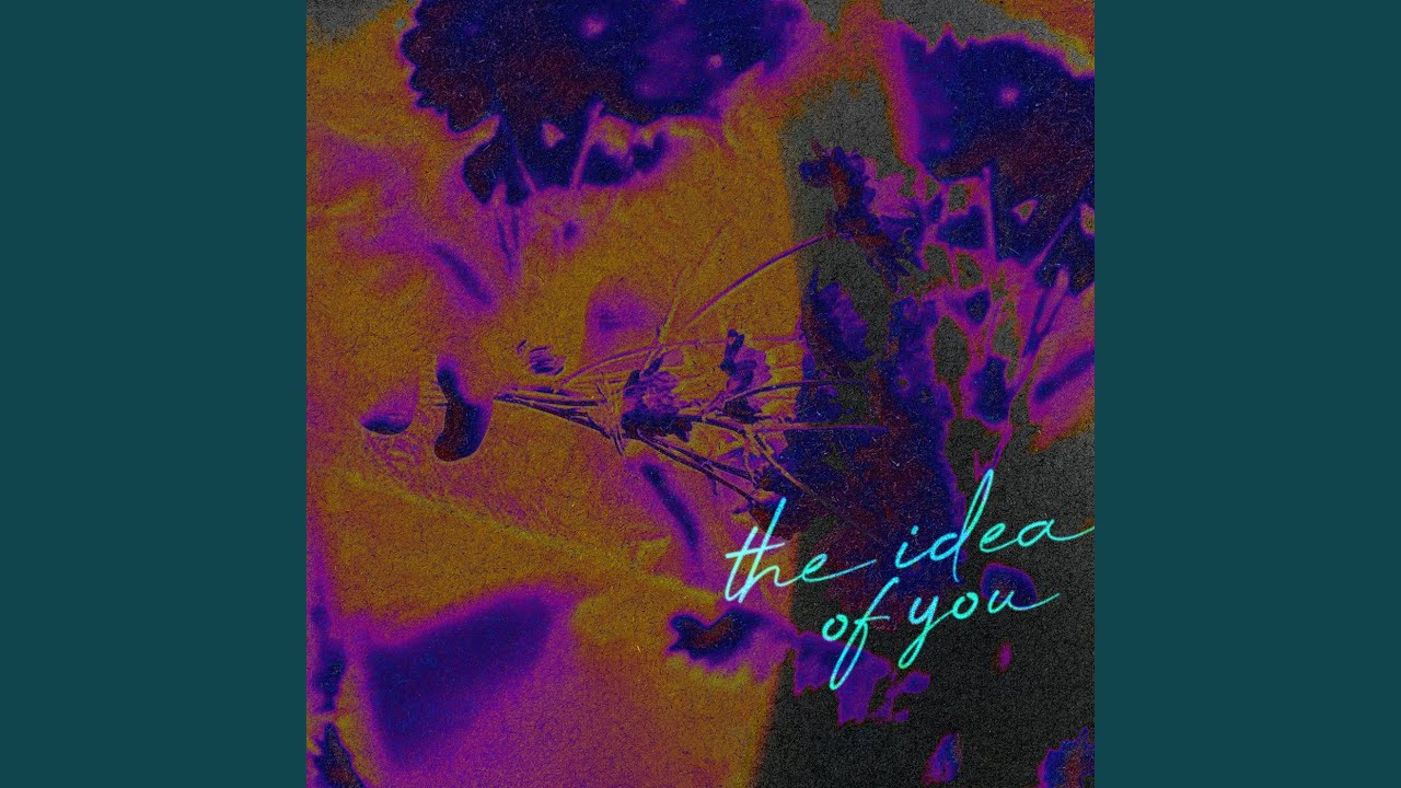 The Idea of You