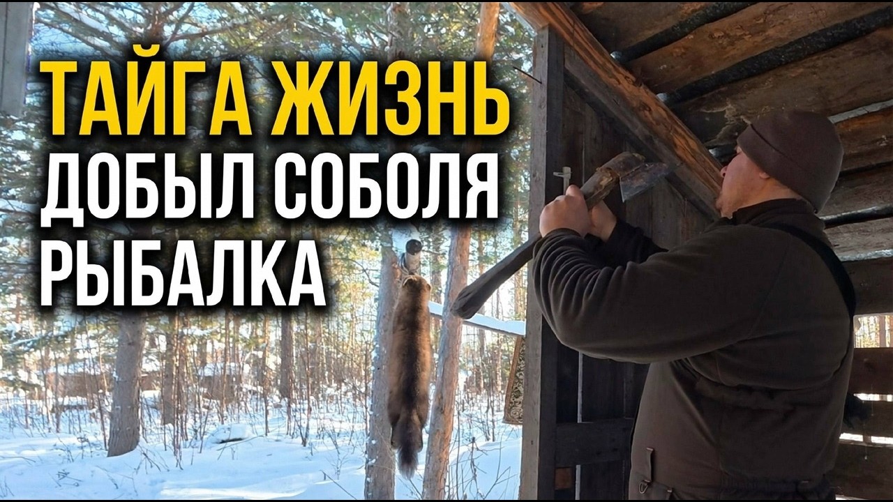 Греюсь в избе.Добыл соболя.Закрытие охоты