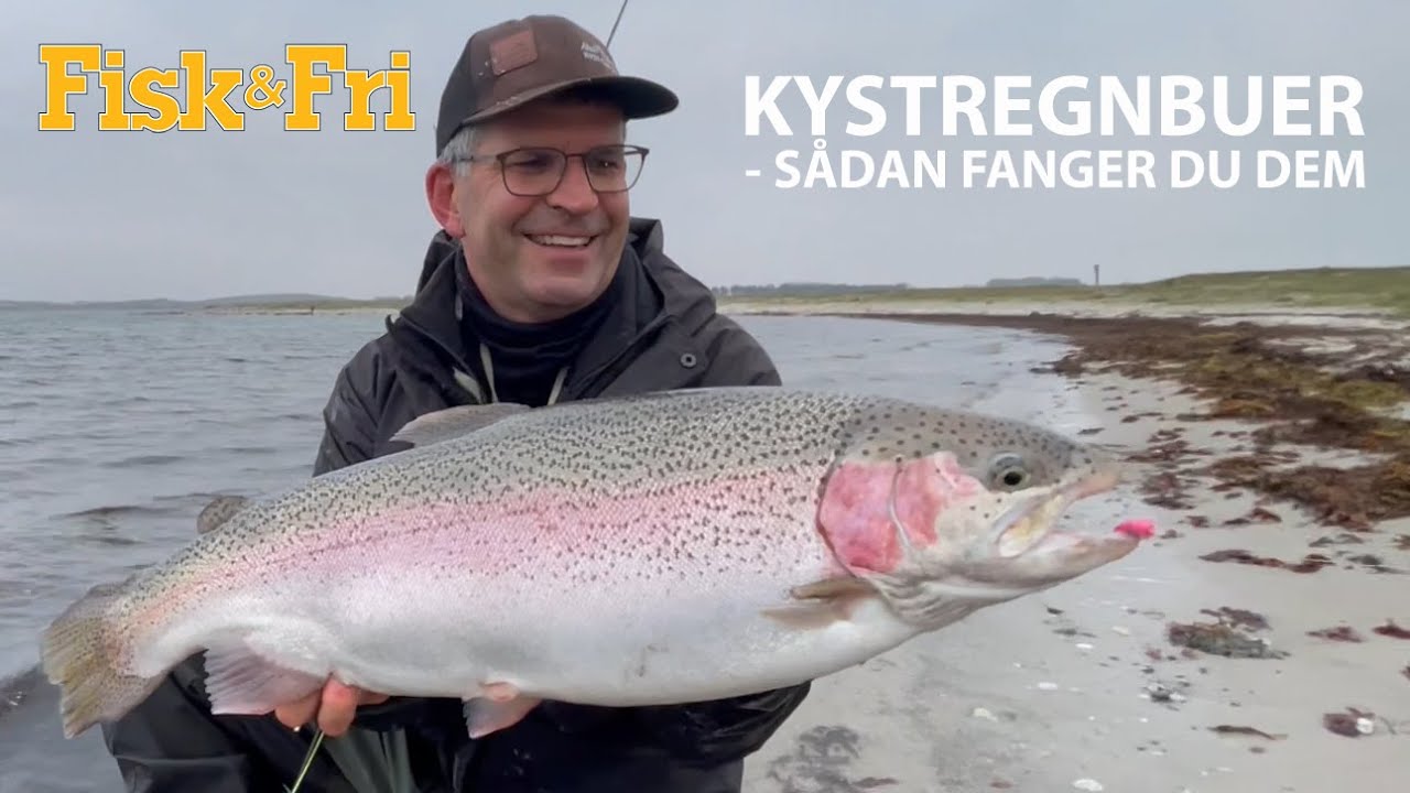 KYSTREGNBUER  - SÅDAN FANGER DU DEM