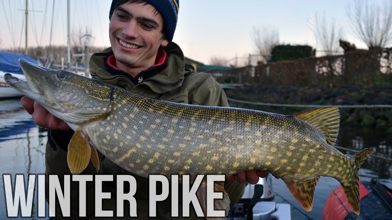 Winter PIKE fishing in a harbor - Project M