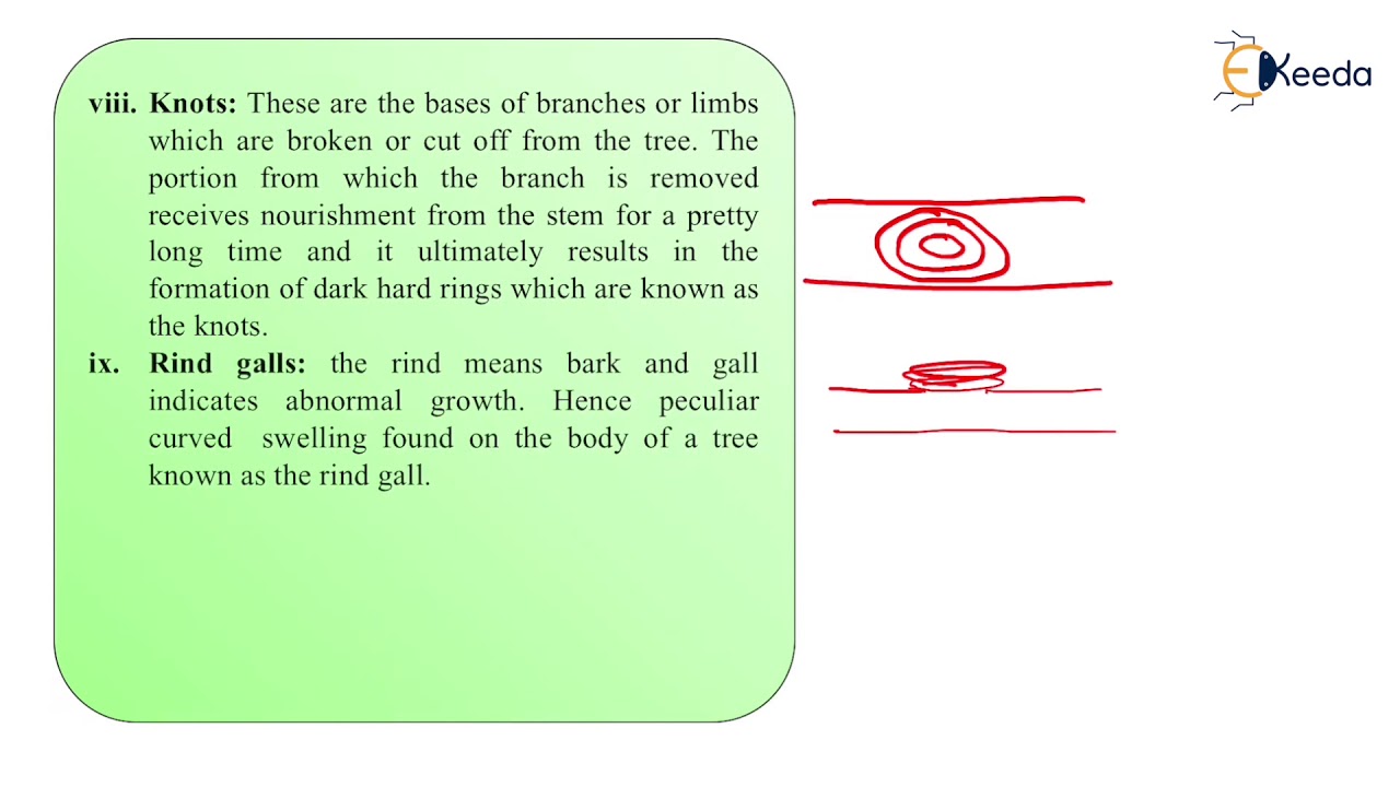 Defects In Timber