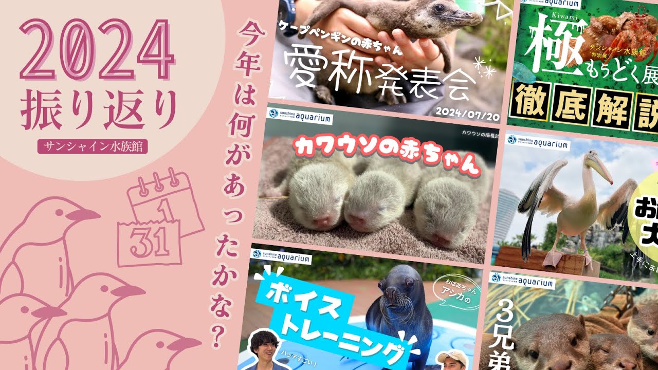 【大晦日スペシャル】サンシャイン水族館2024年ふりかえり【サンシャイン水族館】