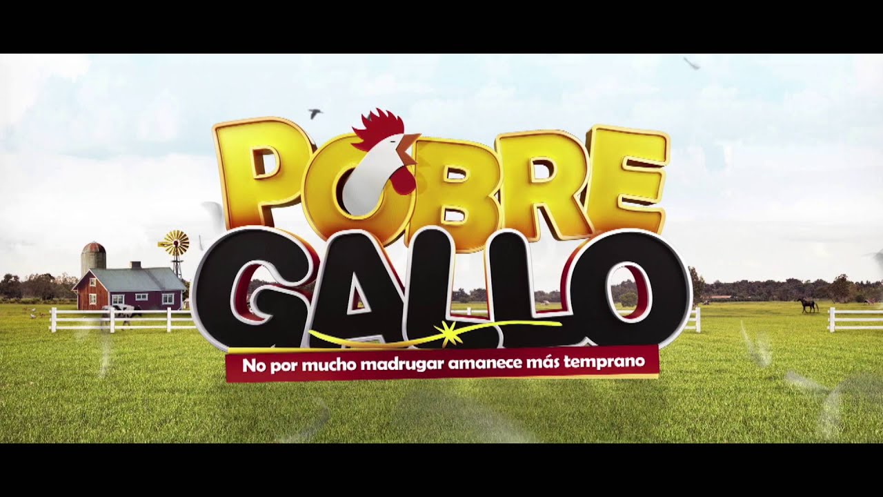 Este Pobre Gallo llegará pronto a #MiMega