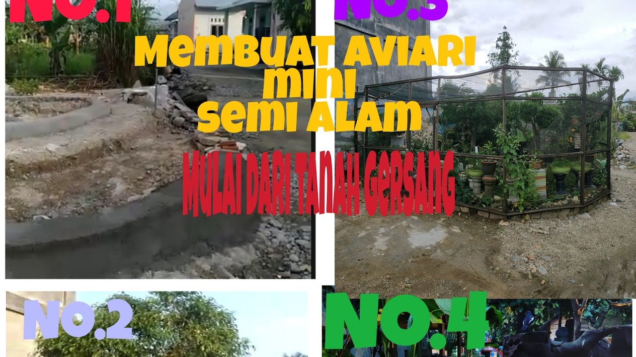 Membangun Aviary mini semi alam mulai dari gersang sampai jadi lebat