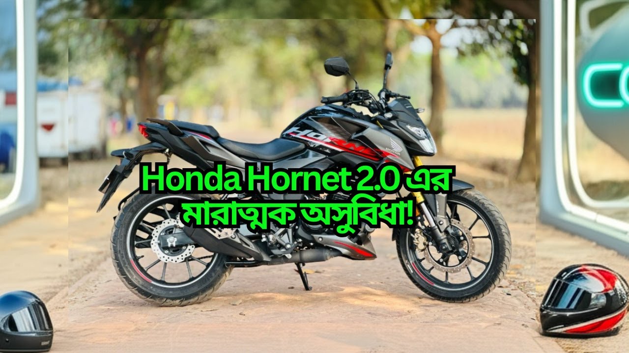 Honda Hornet 2.0 Truth Exposed!