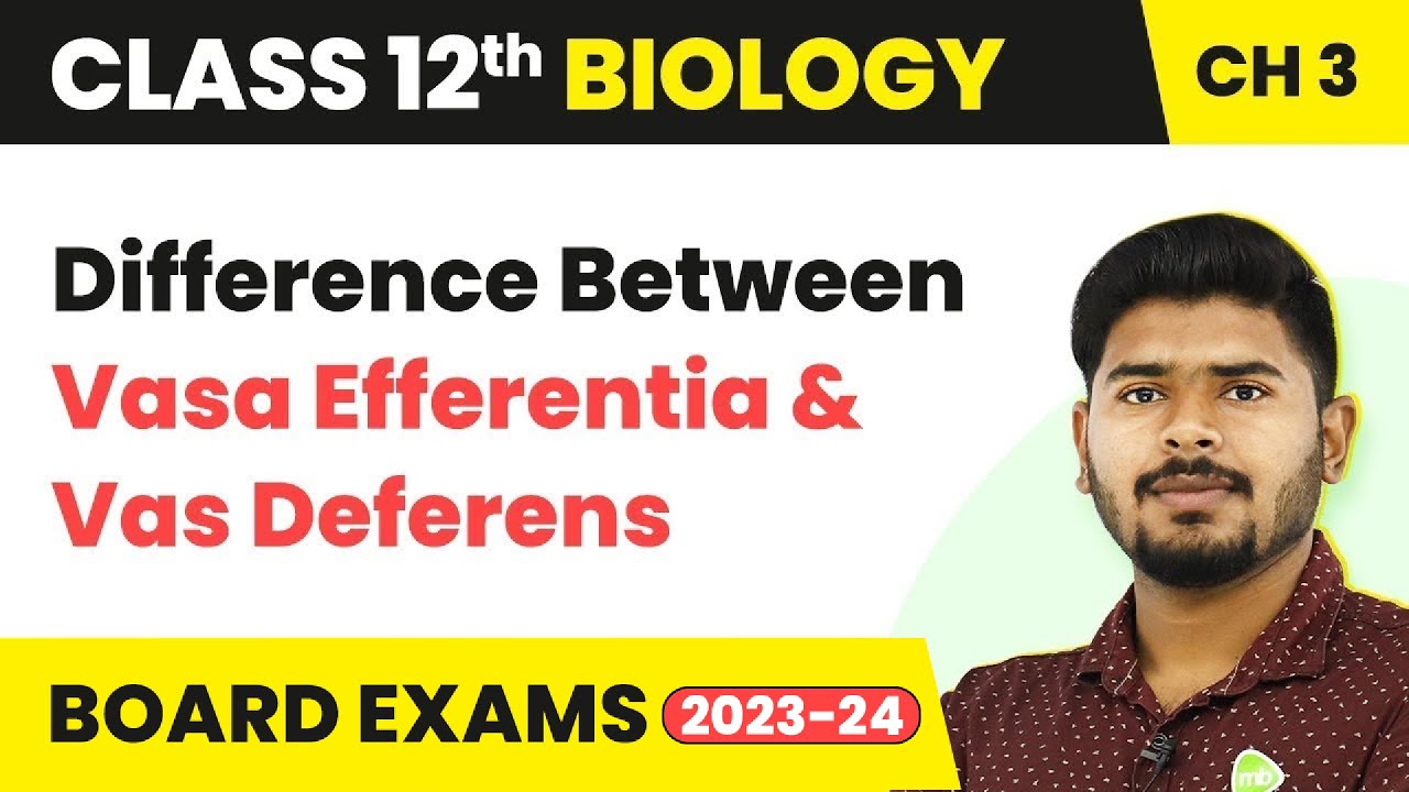 Difference Between Vasa Efferentia & Vas Deferens | Class 12 Biology Ch 3 NCERT/NEET (2022-23)