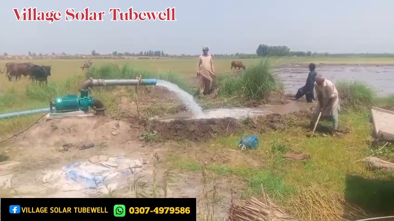 12 solar panells pr 5 inch delivery pani