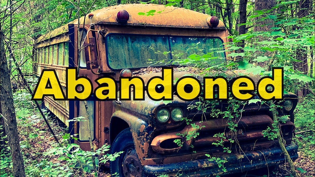 Abandoned School Bus & Cars In the Woods