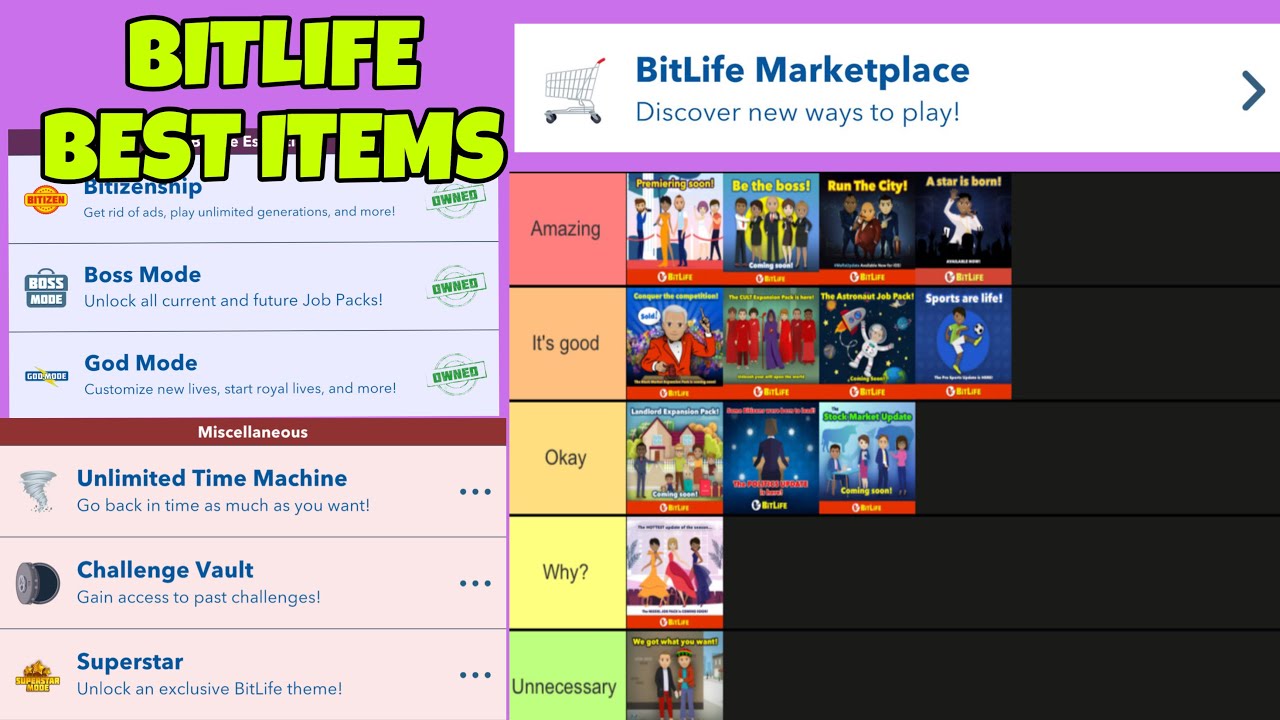 WHAT BITLIFE MARKETPLACE ITEMS TO GET IN 2024 | Ranking Bitlife job & expansion packs | Bitlife