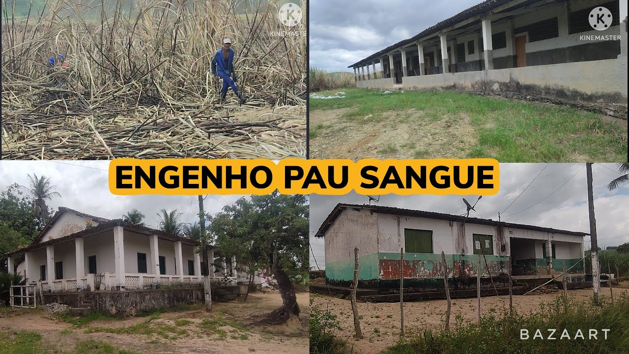 ENGENHO PAU SANGUE, GAMELEIRA-PE.