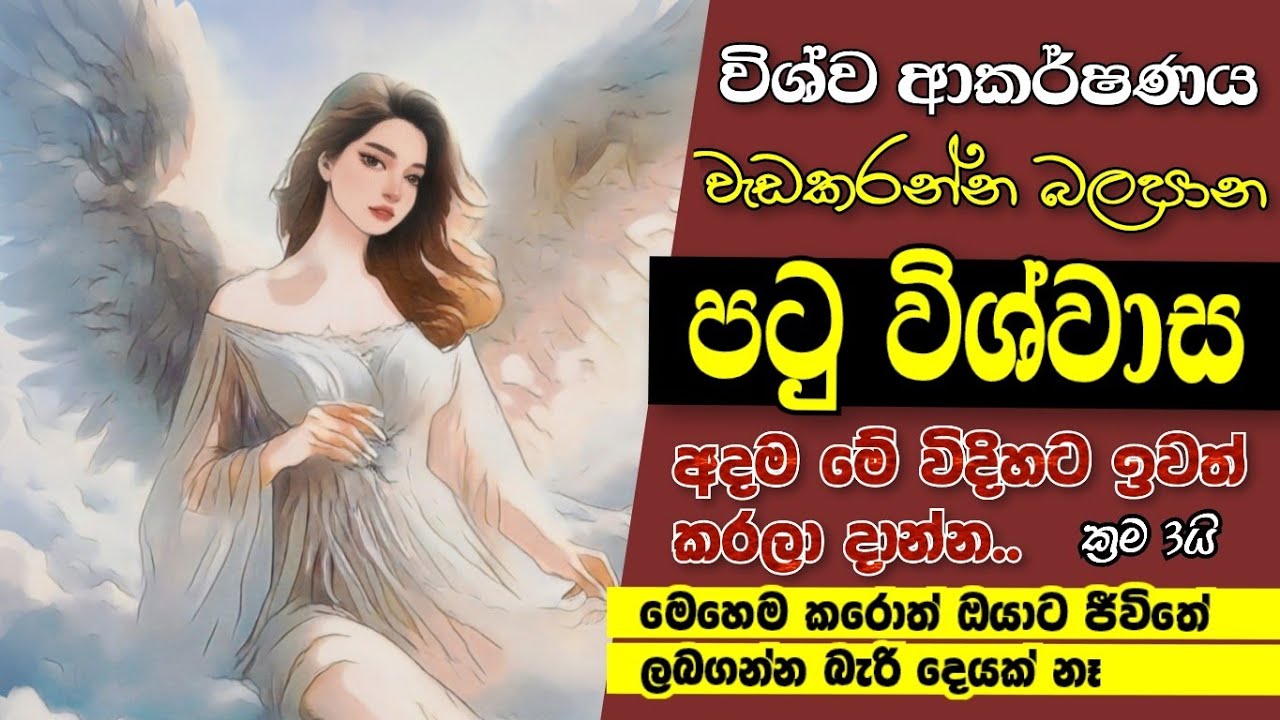 ඔයාගේ Limiting Beliefs ඉවත් කරන්න මෙන්න ක්‍රම 3ක් | විශ්ව ආකර්ෂණ නිතිය හරියට ක්‍රියා කරවමු