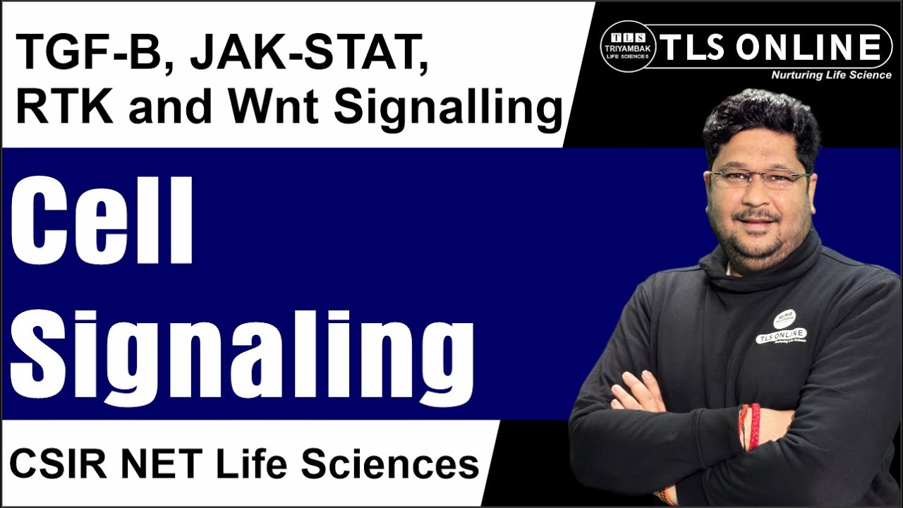 𝐓𝐆𝐅-𝐁, 𝐉𝐀𝐊-𝐒𝐓𝐀𝐓, 𝐑𝐓𝐊 𝐚𝐧𝐝 𝐖𝐧𝐭 𝐒𝐢𝐠𝐧𝐚𝐥𝐥𝐢𝐧𝐠 | Cell Signaling | CSIR NET Life Sciences |
