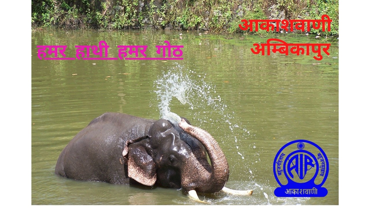 HAMAR HATHI HAMAR GOTH 15 02 2026