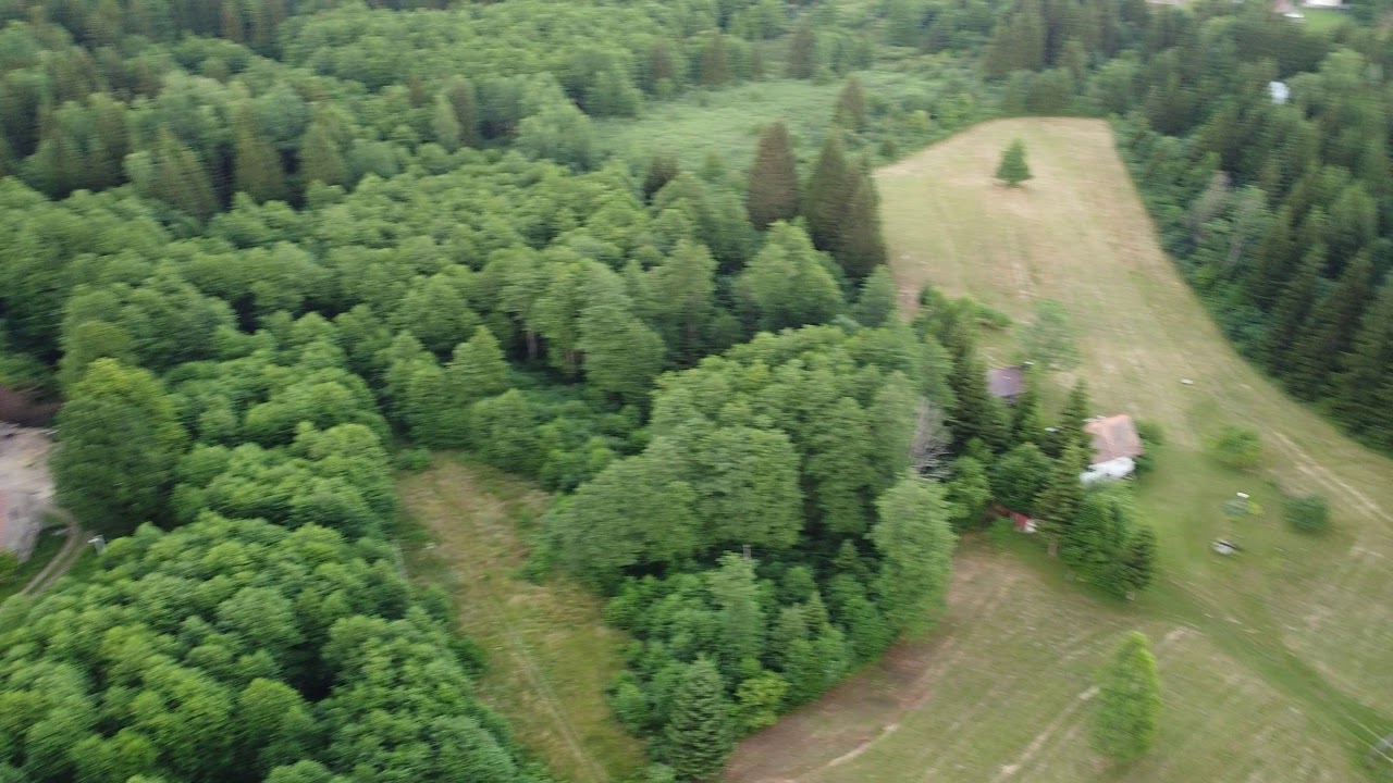 Jasenak - Bjelolasica
