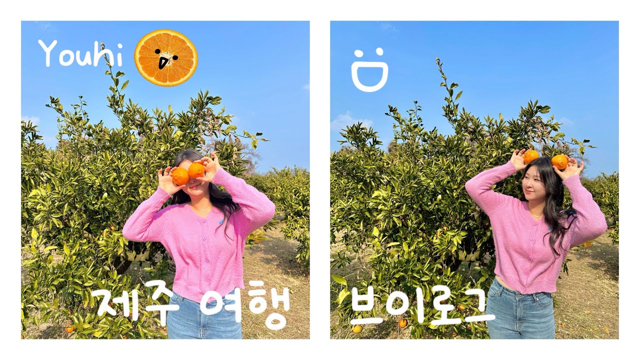 겨울 제주 여행✈️|귤따기 체험🍊|제주도 바람 무서워😱