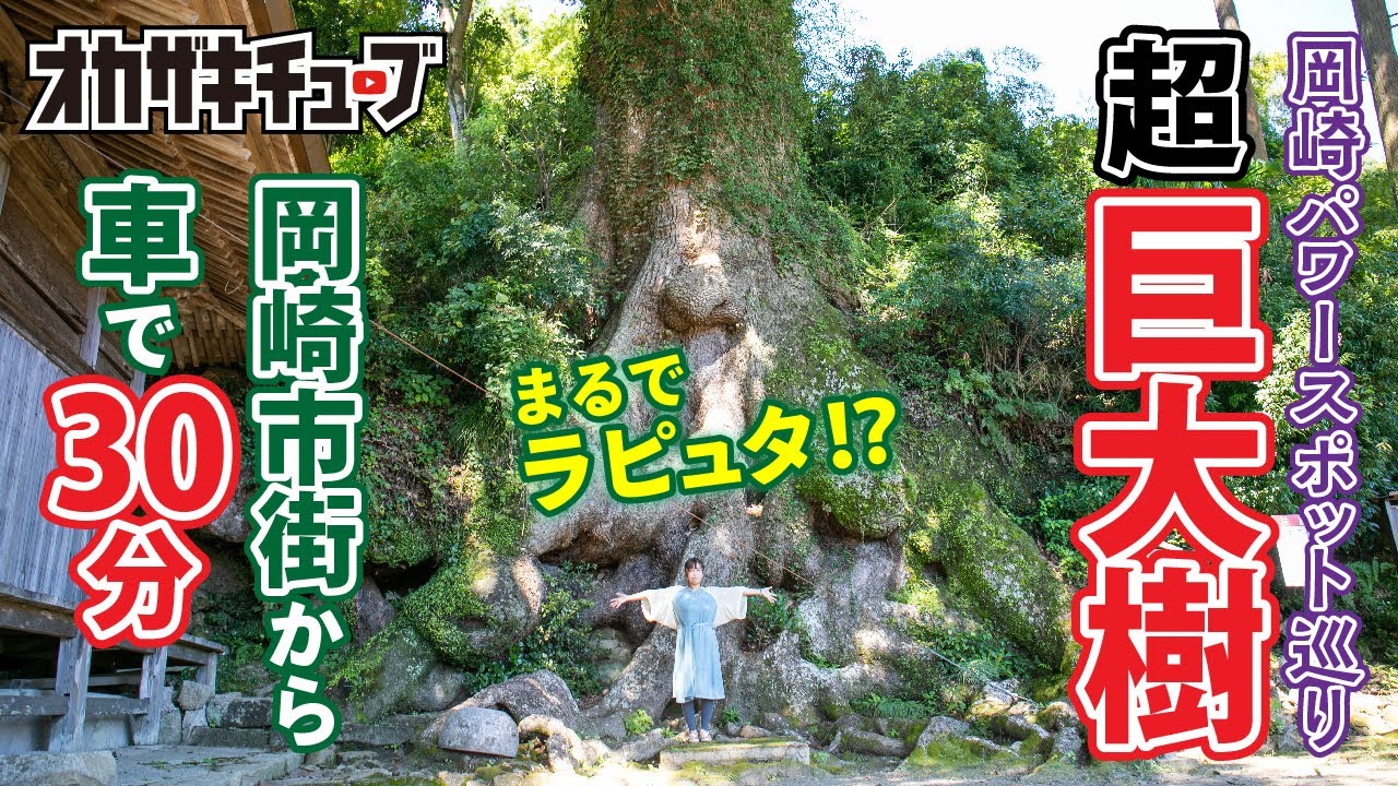樹齢千年の超巨大樹「寺野の大クス」に行ってみた！【岡崎パワースポット巡り】