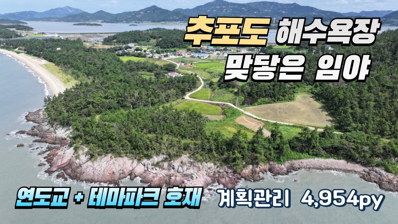 [목포토지사랑 336] 암태 추포해변 바다접한 계획관리 임야 / 4,950py / 연도교와 테마파크 미래가치 확실 / 매매가 7억5천만 / 주변토지 추가매입 가능
