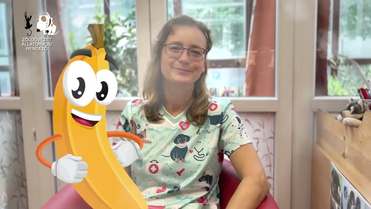 A kutya etetése