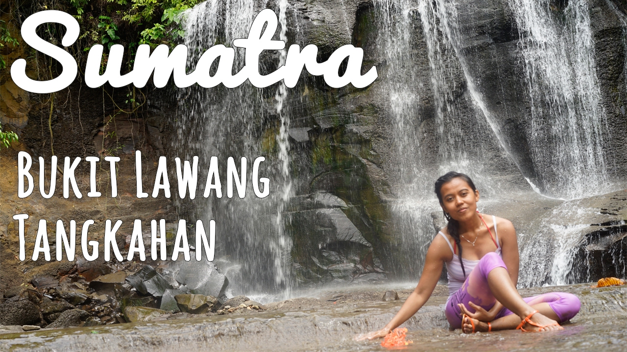 INDONESIA - SUMATRA - elephants, orangutans and jungle trekking in Tangkahan and Bukit Lawang